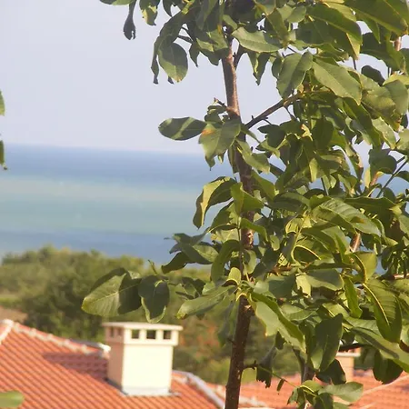 Guest house 